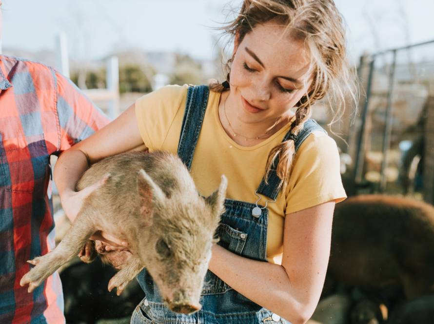 Woman carefully holding a piglet during a petting zoo visit with her dad